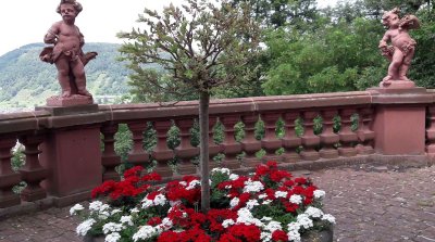 Odenwälder Wandertag