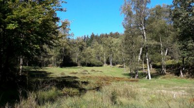 Wanderung Affolterbach