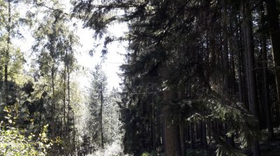 Affolterbach rotes Wasser