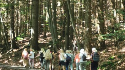 14.08.2024 Spazierwanderung Winterkasten