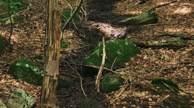 14.08.2024 Spazierwanderung Winterkasten