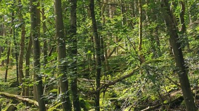 14.08.2024 Spazierwanderung Winterkasten