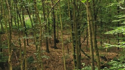 21.07.2024 Wanderung Not Gottes Kapelle