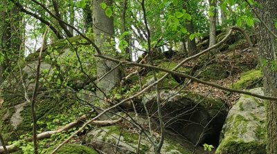 13.04.2025 Wanderung Unterflockenbach