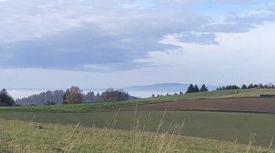 16.11.2025 Wanderung Neutsch