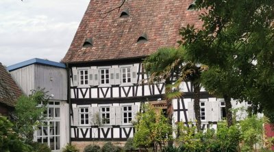 21.09.2025 Wanderung Bellheim Pfälzerwald Verein