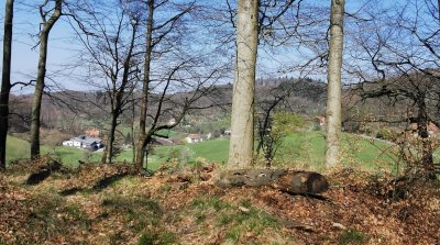 22.03.2026 Wanderung Kirschhausen Ober Hambach