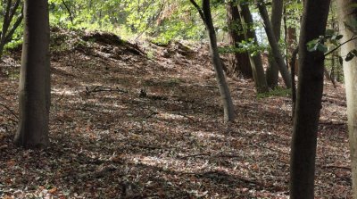 30.08.2026 Wanderung Reichelsheim Ostertal Weschnitz