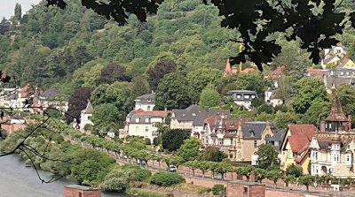 31.05.2026 Wanderung Heidelberg Wolfsbrunnen