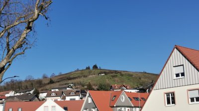 08.02.2023 Seniorenspaziergang