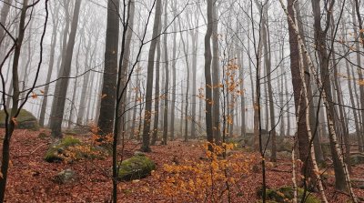 12.04.2023 Seniorenspaziergang Winterkasten