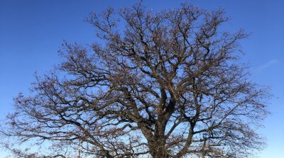 16.11.2025 Wanderung Neutsch